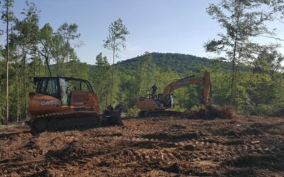 Your Guide To Land Clearing In Northern Virginia