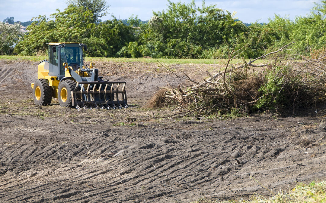 land clearing