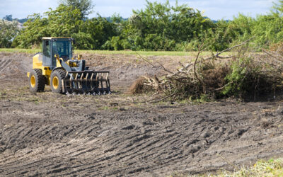 The Importance And Best Reasons for Land Clearing