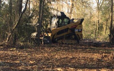 Land Clearing Services: 10 Benefits of Hiring Professionals