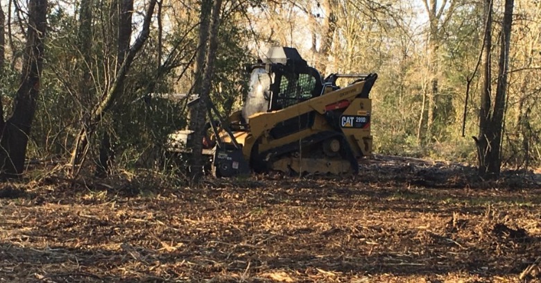 Land Clearing Services: 10 Benefits of Hiring Professionals