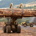 timber logging