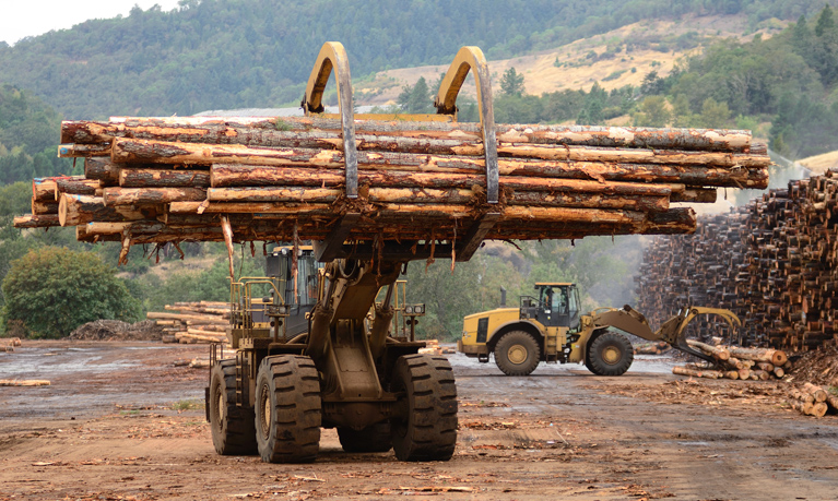 timber logging